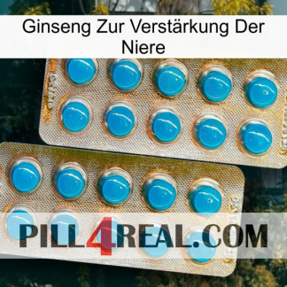 Ginseng Zur Verstärkung Der Niere new08